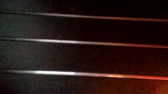 wetnwildforyou online show from 31, 10, 2025