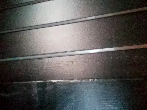 wetnwildforyou online show from 25, 10, 2025