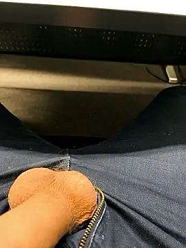 bavaricus123 online show from 25, 11, 2025