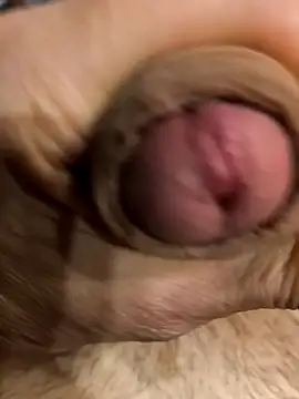 bavaricus123 online show from 22, 3, 2026