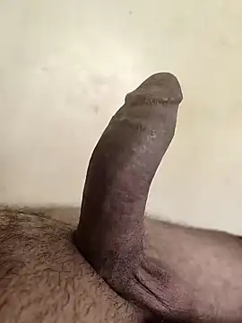 alkhabiir online show from 17, 11, 2025