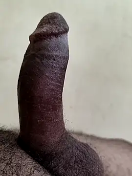 alkhabiir online show from 5, 4, 2026