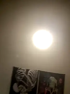 Snapshot of 1Zoey101 chatting on 5, 11, 2025 1Zoey101 online show from 5, 11, 2025