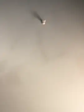 Snapshot of 1Zoey101 chatting on 2, 12, 2025 1Zoey101 online show from 2, 12, 2025