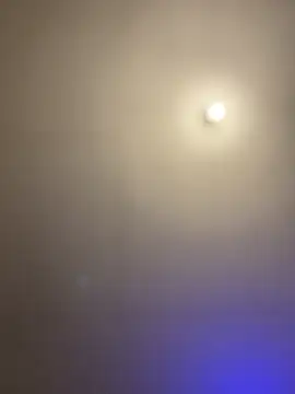 1Zoey101 online show from 2, 3, 2026