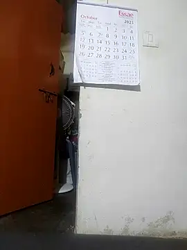 pallu telgu kannada online show from 23, 10, 2025