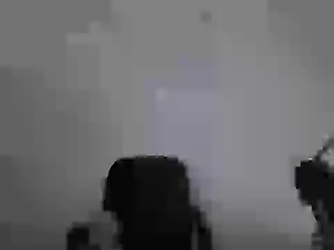 xy monkeyBigCock online show from 20, 7, 2026