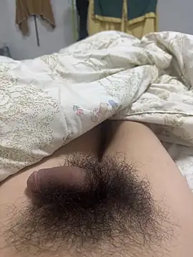 as147859AS online show from 15, 10, 2025