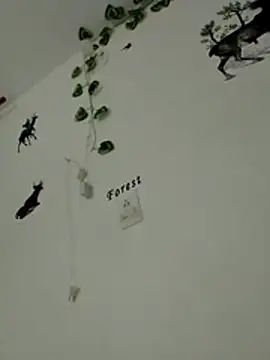 Ehilyn online show from 15, 11, 2025