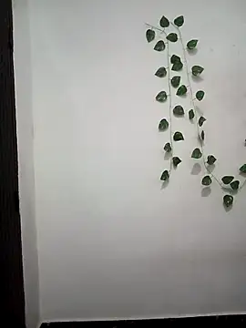 Neha-Bhabhi-Rasily online show from 22, 3, 2026