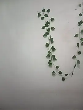 Neha-Bhabhi-Rasily online show from 31, 3, 2026