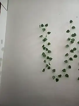 Neha-Bhabhi-Rasily online show from 11, 3, 2026