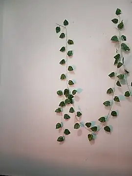 Neha-Bhabhi-Rasily online show from 18, 2, 2026