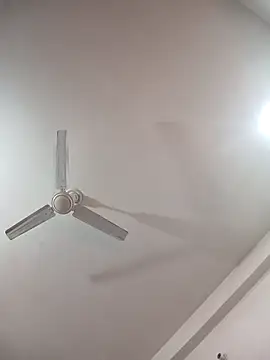 Neha-Bhabhi-Rasily online show from 11, 2, 2026