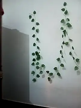 Neha-Bhabhi-Rasily online show from 17, 2, 2026