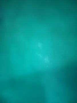 Neha-Bhabhi-Rasily online show from 29, 10, 2025