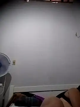 viviksmel online show from 4, 3, 2026