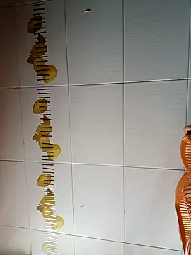 BellyDancer1 online show from 29, 10, 2025