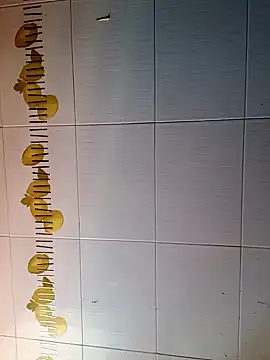 BellyDancer1 online show from 16, 10, 2025