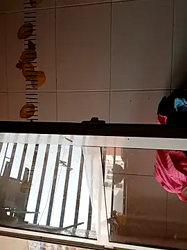 BellyDancer1 online show from 5, 11, 2025