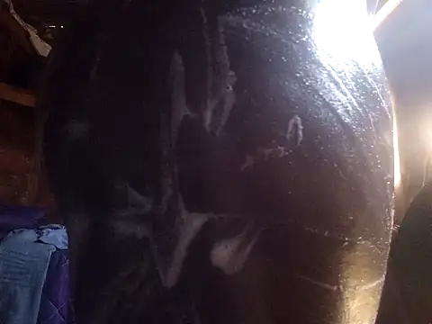 Snapshot of Smart24 chatting on 15, 9, 2025 Smart24 online show from 15, 9, 2025