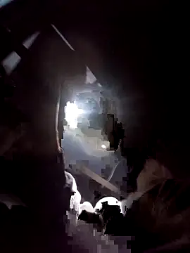 SirJonBradley online show from 6, 11, 2025