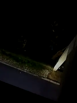 BUTTerflyTODAY online show from 1, 3, 2026