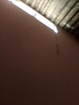 Sandra42 online show from 18, 4, 2026