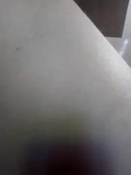Sandra42 online show from 15, 5, 2026