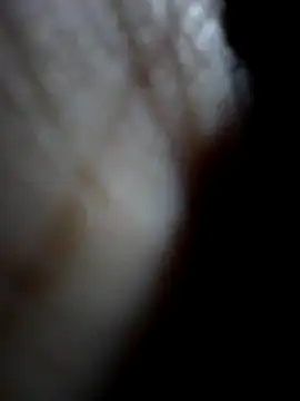 Sandra42 online show from 15, 12, 2025