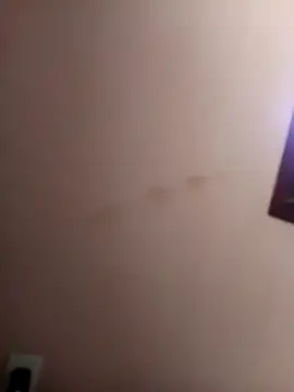 Sandra42 online show from 9, 1, 2026