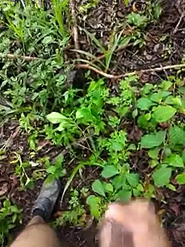 paugrosso553 online show from 19, 3, 2026