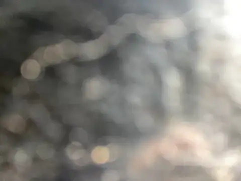 mikeg2392 online show from 7, 3, 2026