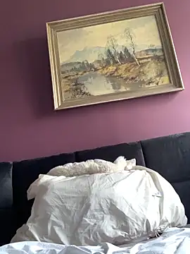 Saysay-7 online show from 23, 2, 2026