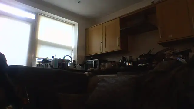 Grower and shower online show from 17, 11, 2025