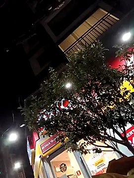 Fzssp online show from 23, 4, 2026