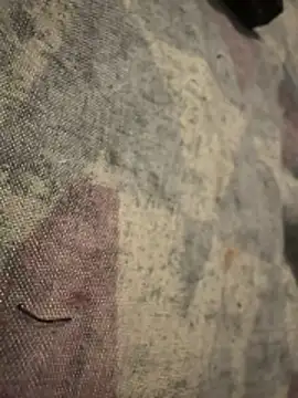 6poundtown9 online show from 3, 4, 2026