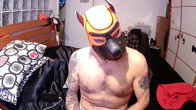 danix wild wolf online show from 17, 12, 2025