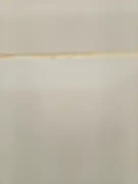 111kis my ass111 online show from 1, 10, 2025