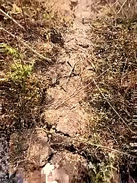 himvilohi08 online show from 28, 2, 2026