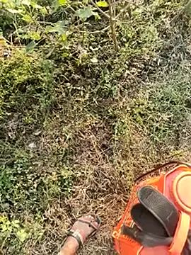 himvilohi08 online show from 10, 1, 2026