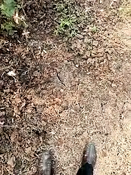 himvilohi08 online show from 7, 1, 2026