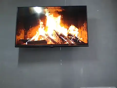 DaphneRosses online show from 11, 11, 2025