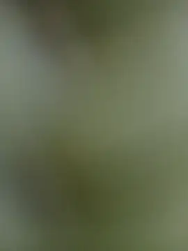 Sexy-nandani-baby online show from 9, 11, 2025