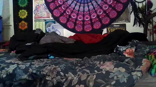 GardeniaFields online show from 23, 2, 2026