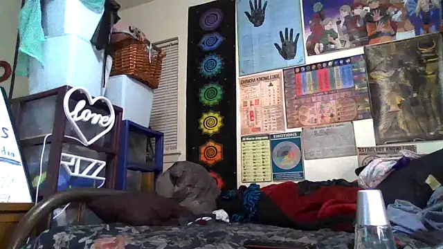 GardeniaFields online show from 26, 10, 2025