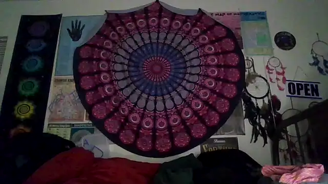 GardeniaFields online show from 25, 3, 2026