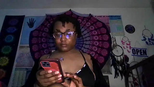 GardeniaFields online show from 24, 3, 2026