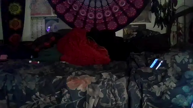 GardeniaFields online show from 7, 2, 2026