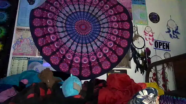 GardeniaFields online show from 24, 4, 2026